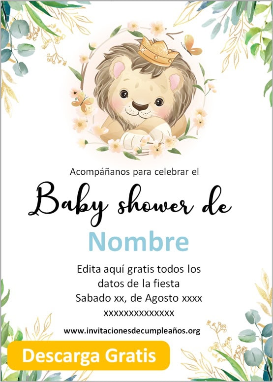 Invitaciones de Baby Shower Niño cumpleaños